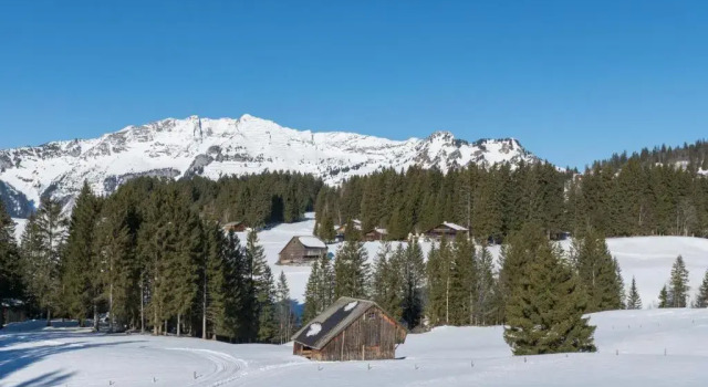 Апартаменты Chalet Gschwend