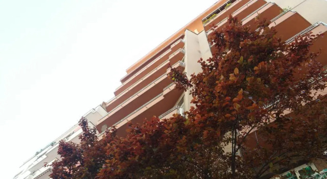 B&B La Perla di Roma