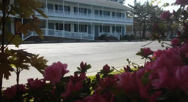 Sea Shell Motel, Prenota Motel Chincoteague Virginia