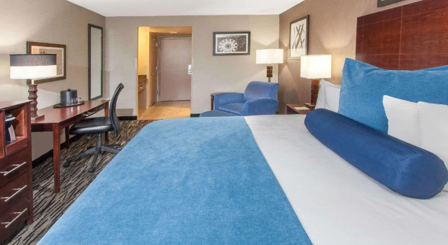 Двухместный номер Standard Wyndham Garden Elk Grove Village - OHare