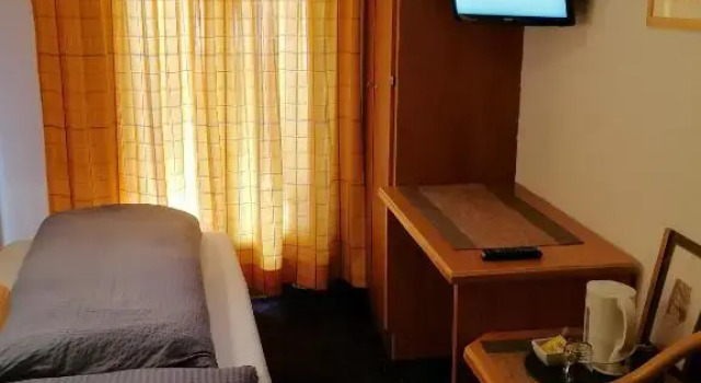 Одноместный номер Petit Helvetia Budget Hotel
