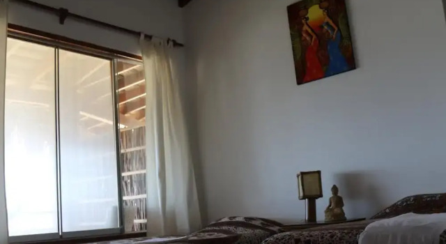 Buenavista Lobitos