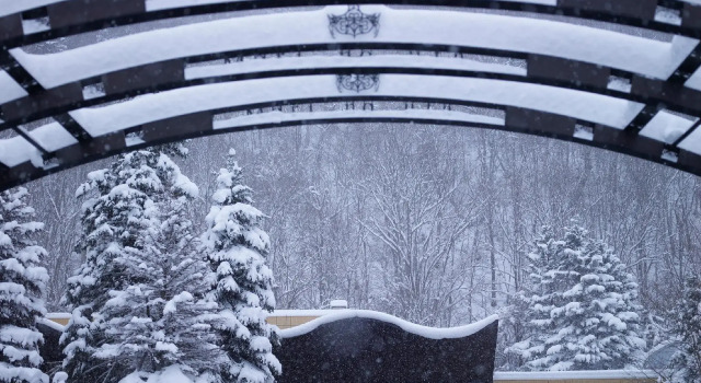 Двухместный номер Standard Jozankei Tsuruga Resort Spa Mori no Uta