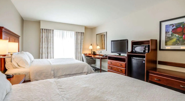 Номер Standard Hampton Inn & Suites Westford-Chelmsford