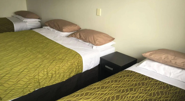 Tiki Lodge Backpackers