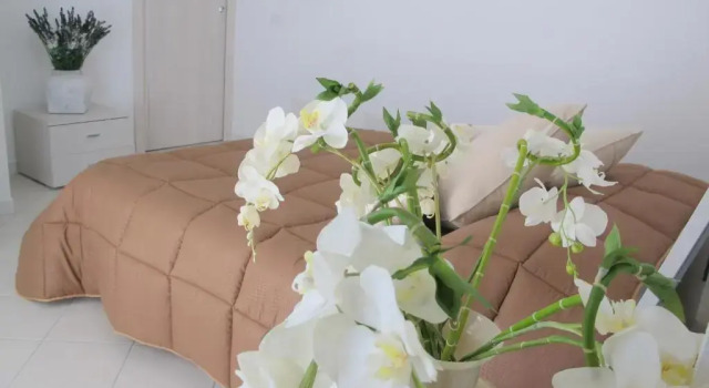 Люкс с балконом и с красивым видом из окна Guest House Suite