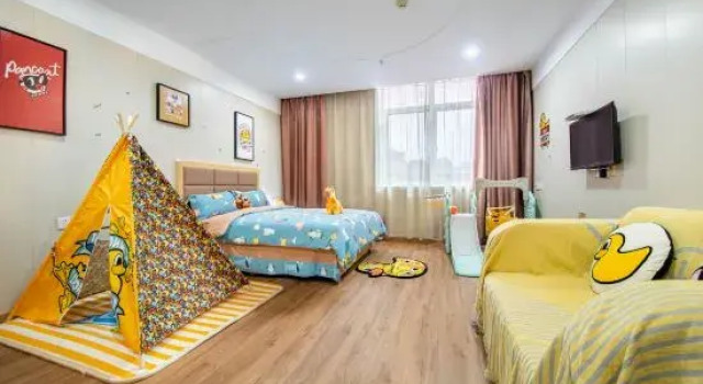 Люкс Xian Tooyo Hotel