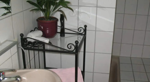 Номер Standard Haus am Cannstatter Wasen