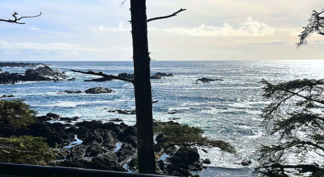 Люкс c 1 комнатой с видом на океан Black Rock Oceanfront Resort