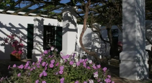 Apartment De Kothuize 166