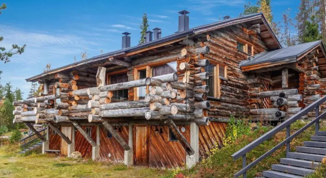 Sallanhelmi c2