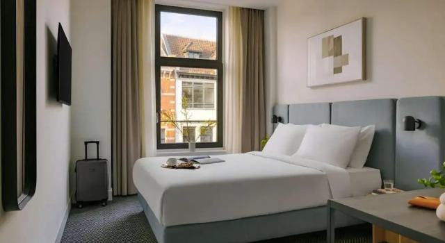 Двухместный номер Deluxe Hotel Rose Rotterdam
