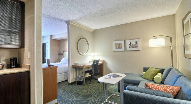Двухместный люкс SpringHill Suites Detroit Southfield