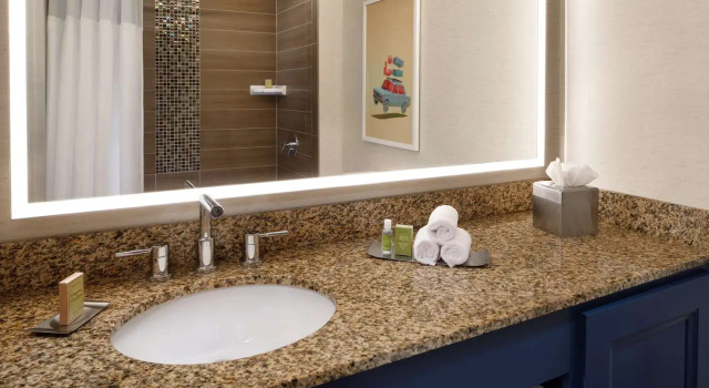 Двухместная студия DoubleTree Suites by Hilton Orlando at Disney Springs