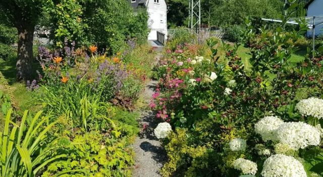 Коттедж с 4 комнатами Haus am Wilde Aar