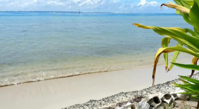 Полулюкс Poerani Moorea