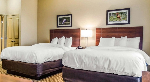 Четырёхместный люкс MainStay Suites Hackberry Sportsmans Lodge