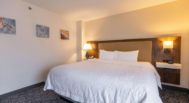 Двухместный люкс Hampton Inn by Hilton of Kuttawa/Eddyville