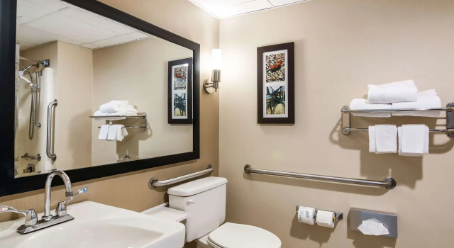 Двухместный номер Standard Clarion Pointe Jamestown - Falconer