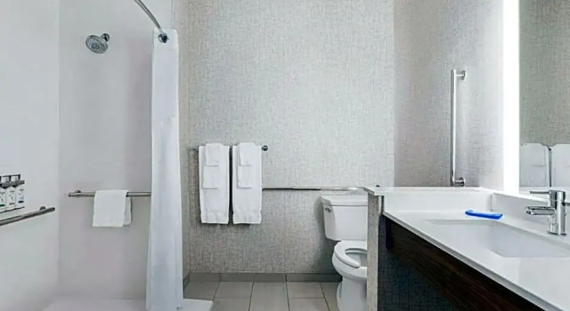 Четырёхместный люкс Holiday Inn Express & St Austin North Pflugerville