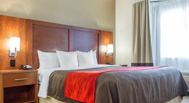 Номер Standard THE ATRIUM HOTEL SFO AIRPORT