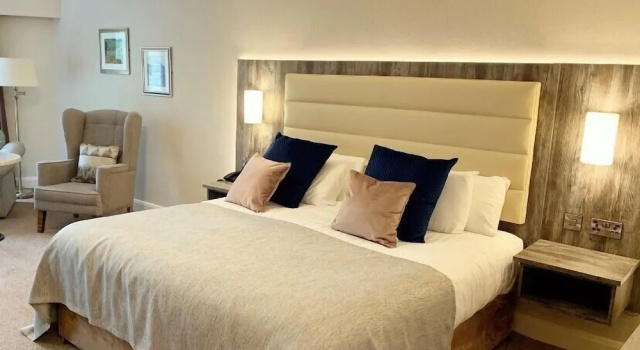 Двухместный номер Executive Mill Park Hotel