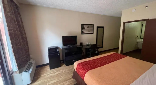 Номер Superior Tropical Palms Hotel