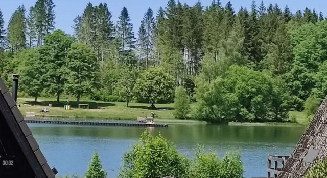 Am Waldsee