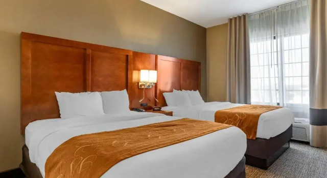 Четырёхместный люкс Deluxe Comfort Suites Grand Rapids South