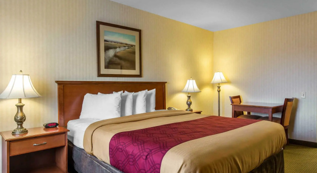 Номер Standard Econo Lodge Inn & Suites Riverside - Corona