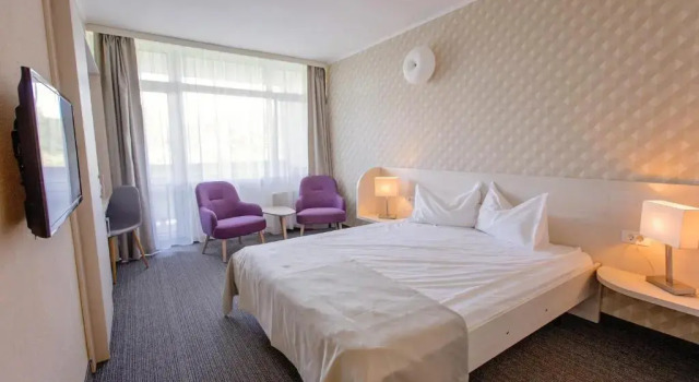 Двухместный номер Standard Hotel Termal