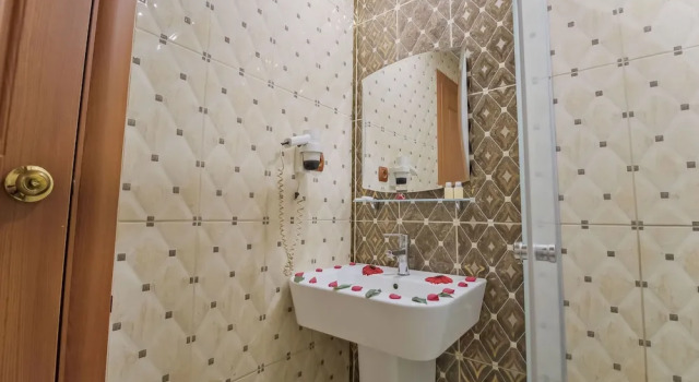 Номер Standard Konak Kayseri Hotel