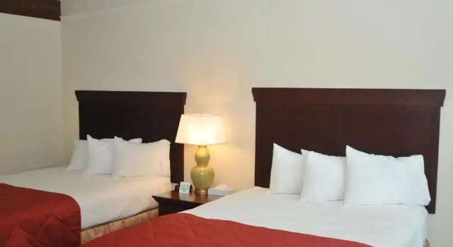 Четырёхместный номер Standard Tea Island Resort