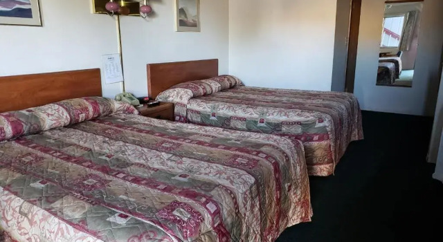 Standard- dobbelt værelse Oasis Inn & Suites