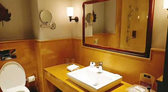 Семейный номер Standard с видом на сад The Amaya Resort Kolkata NH6
