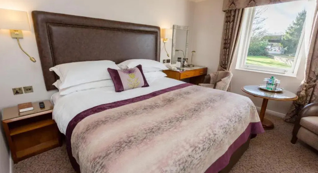 Двухместный клубный номер Standard Swans Nest Hotel