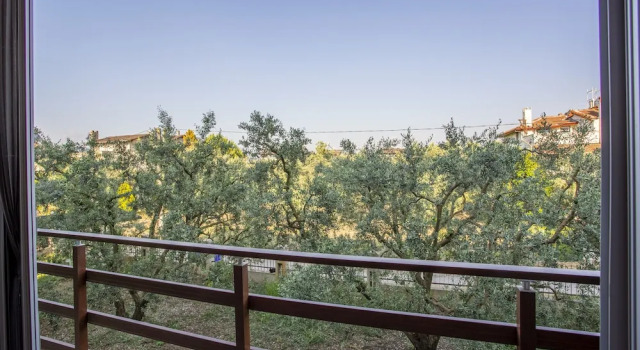 Номер Standard с видом на сад Zeytin Bahcesi Hotel