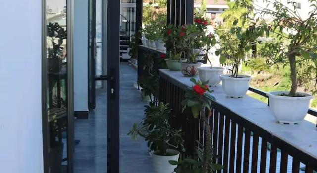 Номер Standard Green garden house