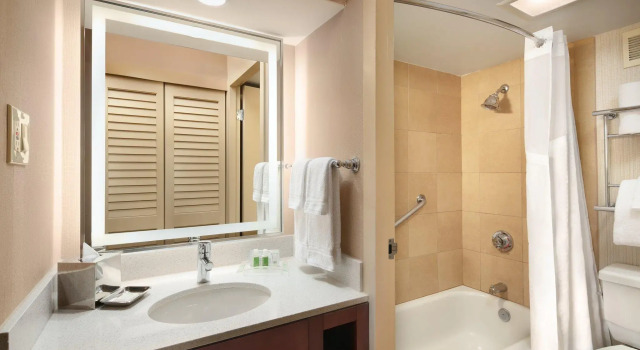 Двухместный номер Standard с видом на озеро Holiday Inn Austin -Town Lake by IHG