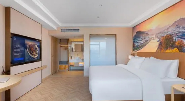 Люкс Deluxe Vienna Hotel (Sanming North Station)