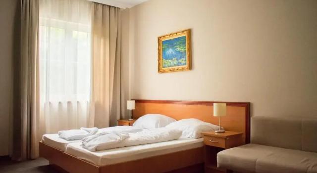 Двухместный номер Standard P4W Hotel Residence Szombathely