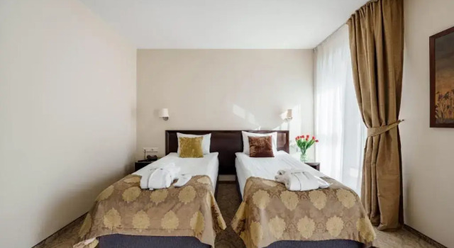 Двухместный номер Business Euterpe Hotel