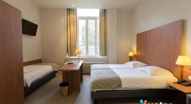 Трёхместный номер Hotel Du Congres