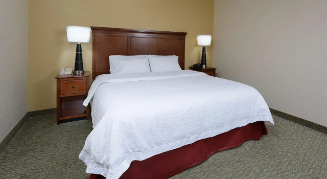 Двухместный номер Standard Hampton Inn Raleigh/Durham Airport