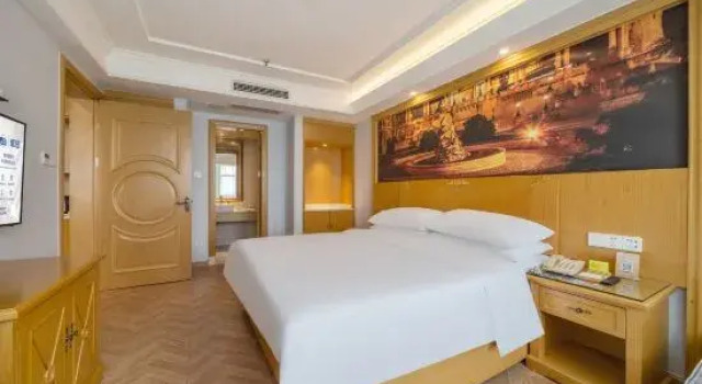 Люкс Vienna Hotel (Wuxi Railway Station Huishan Scenic Spot)