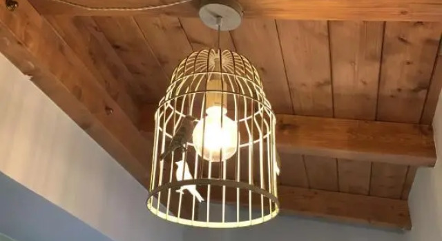 Номер Standard B&B Harmonia