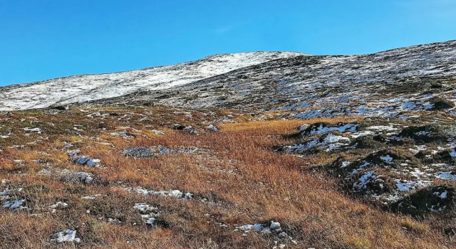 Holiday Home in Alta, Reserva ahora Hotel Alta Troms og Finnmark