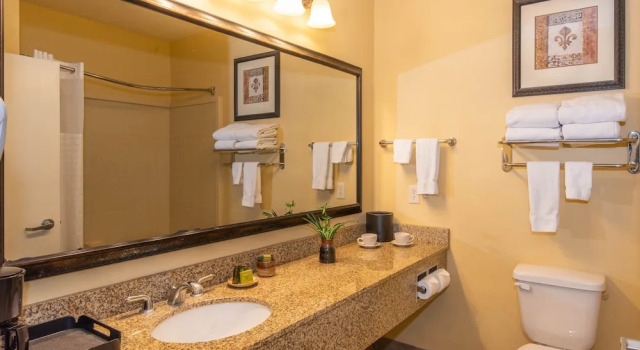 Четырёхместный номер Deluxe Natchez Grand Hotel On The River