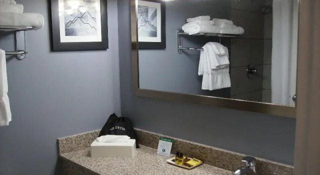 Номер Standard с балконом Best Western Plus Bradford Inn