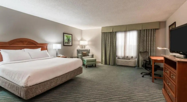 Двухместный номер Mobility/Hearing Accessible Hilton Garden Inn Orlando International Drive North